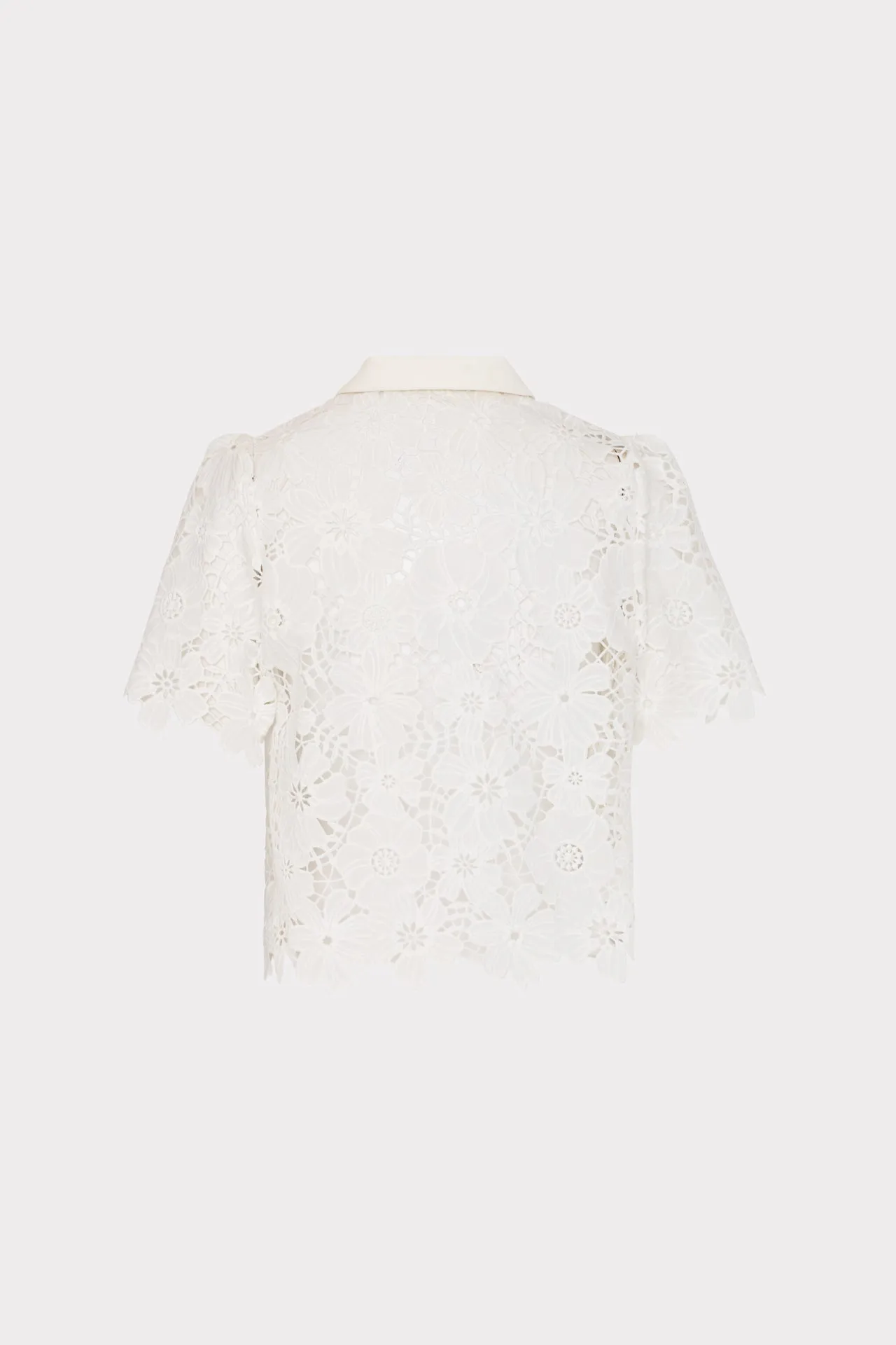 Addison Roja Lace Top