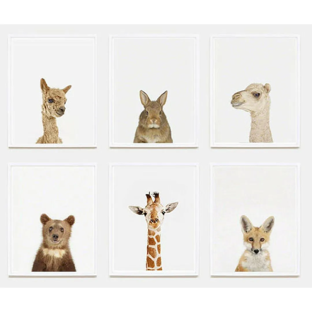 Baby Bunny Little Darling Print
