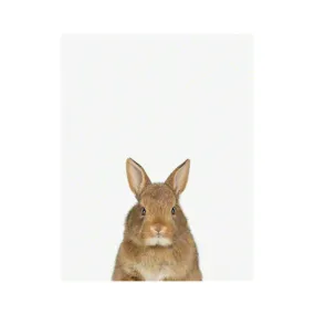 Baby Bunny Little Darling Print