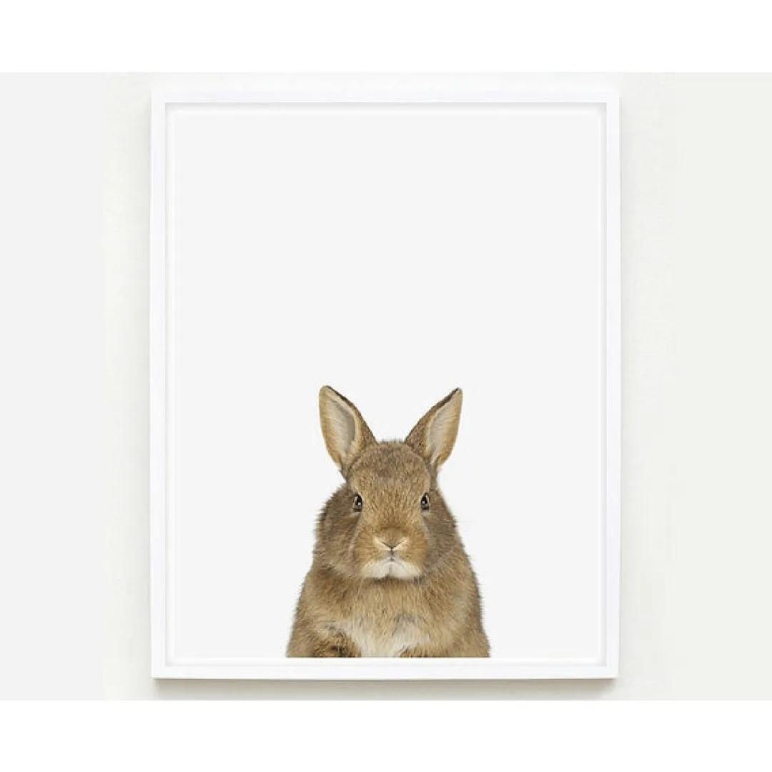 Baby Bunny Little Darling Print
