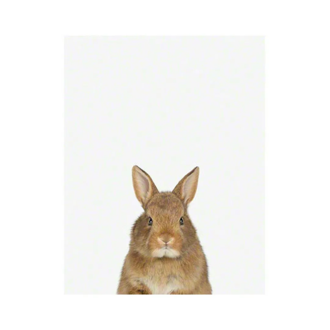 Baby Bunny Little Darling Print