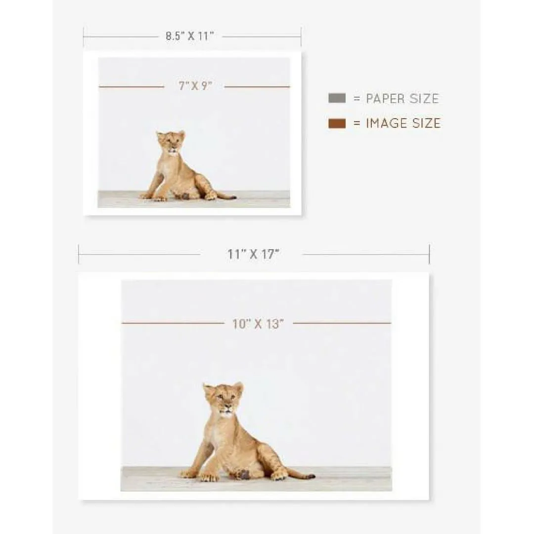Baby Bunny Little Darling Print