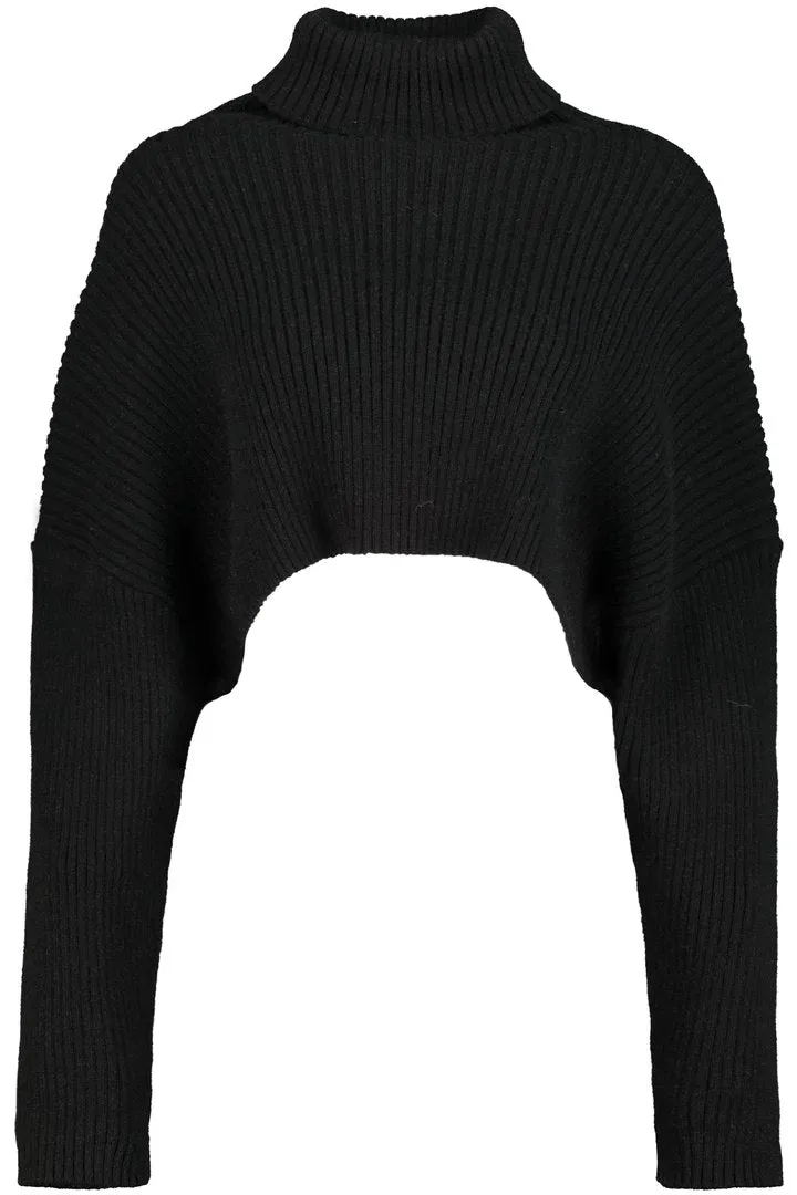 Bishop   Young HIghline Turtleneck Sweater