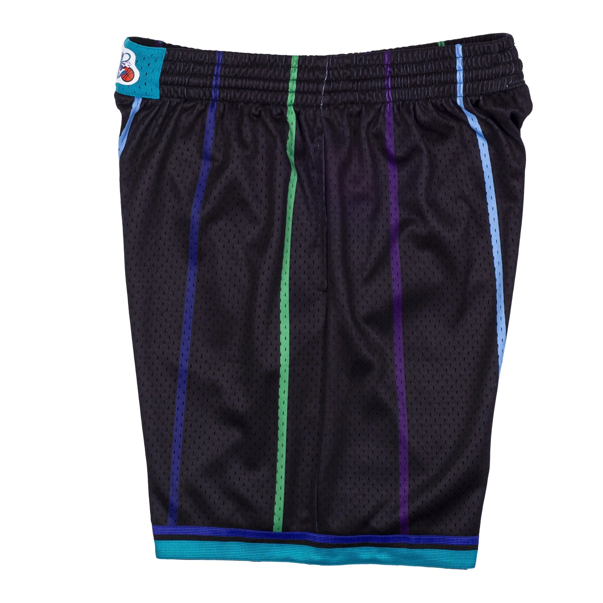 Charlotte Hornets 1992-1993 Swingman Reload Shorts