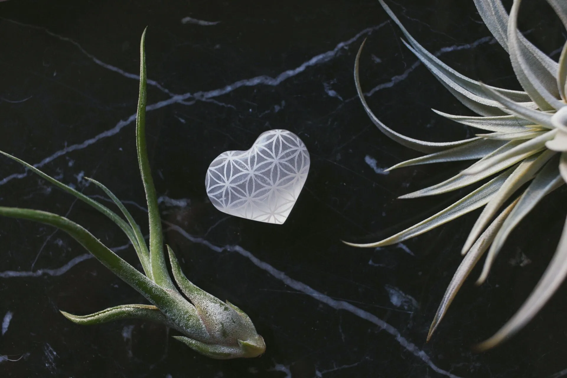 Etched Selenite Heart "Flower of Life"
