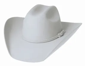 Legacy 8X in Silverbelly