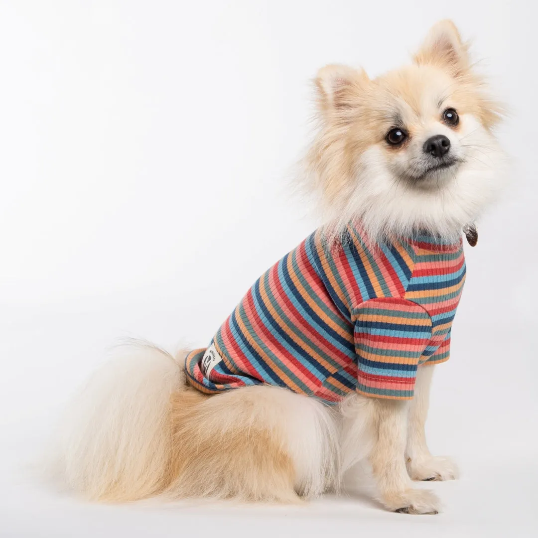 Stripe Ribbed Turtleneck Sweater - Wine