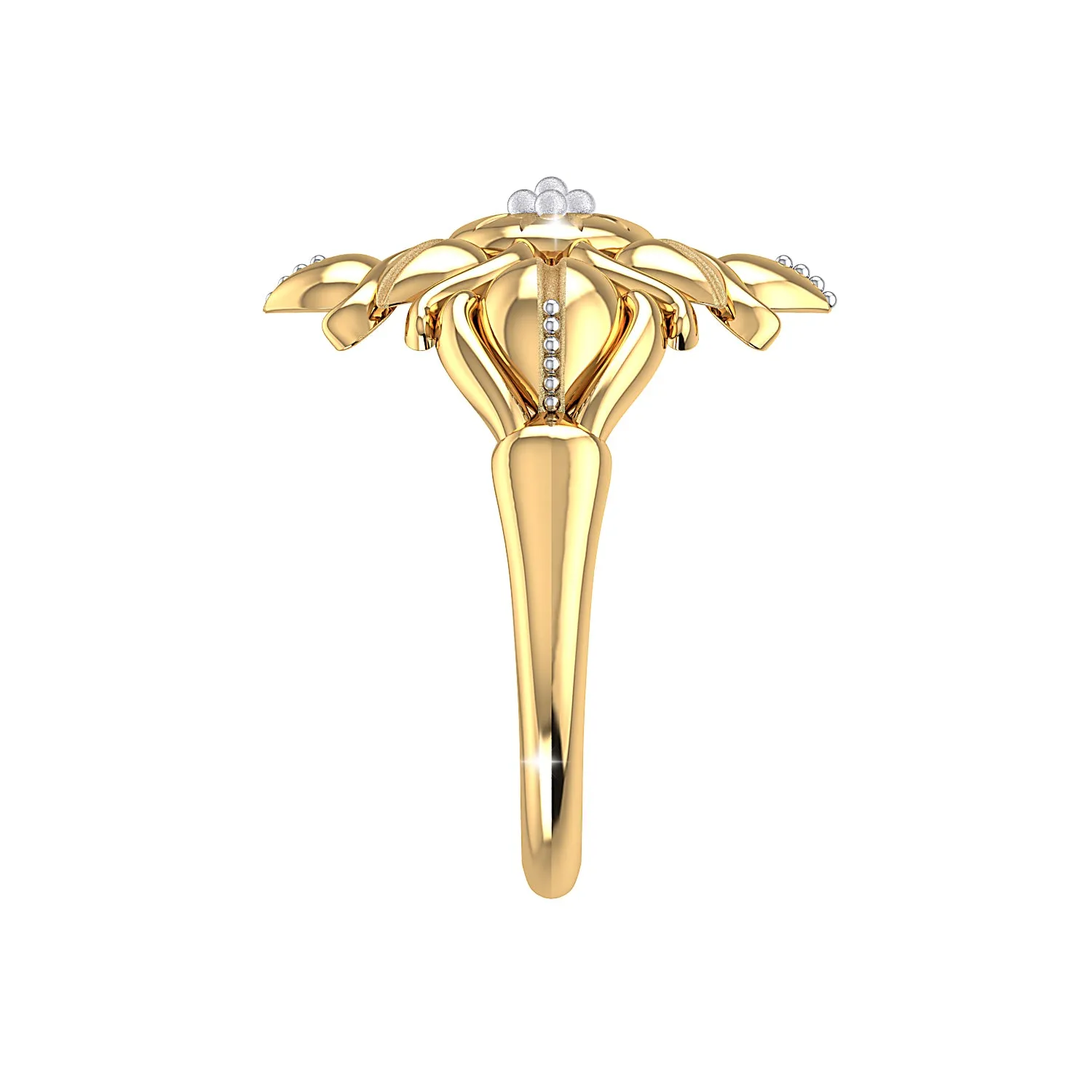THE SOLAR FLARE RING