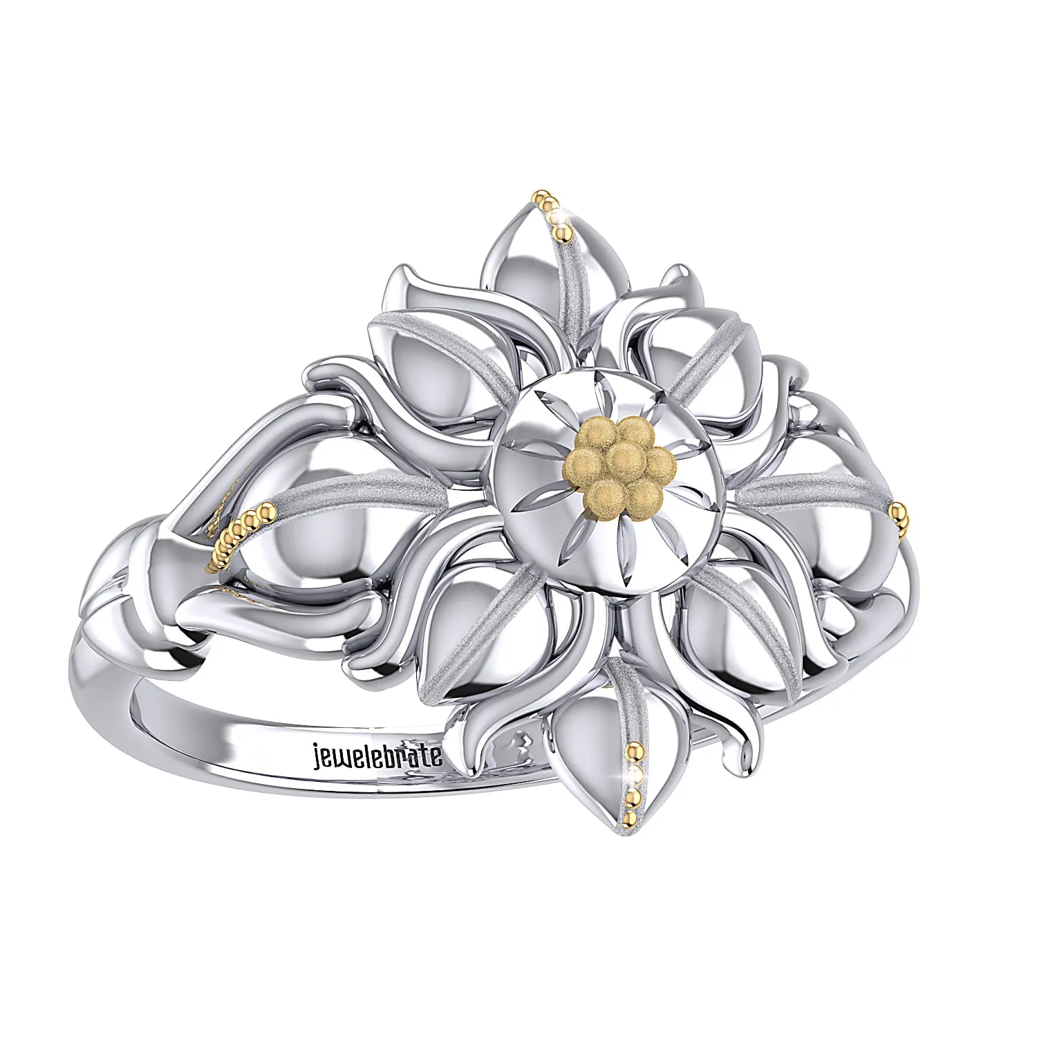 THE SOLAR FLARE RING