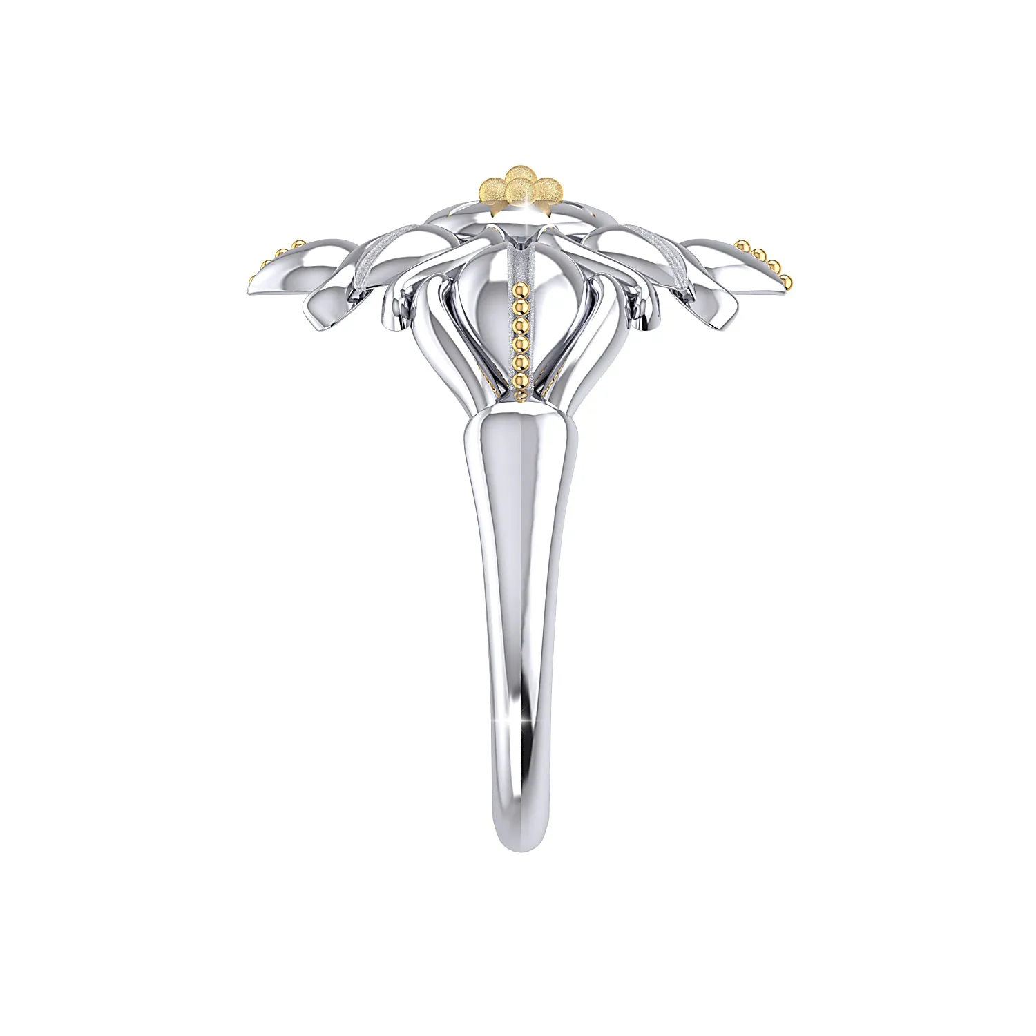 THE SOLAR FLARE RING