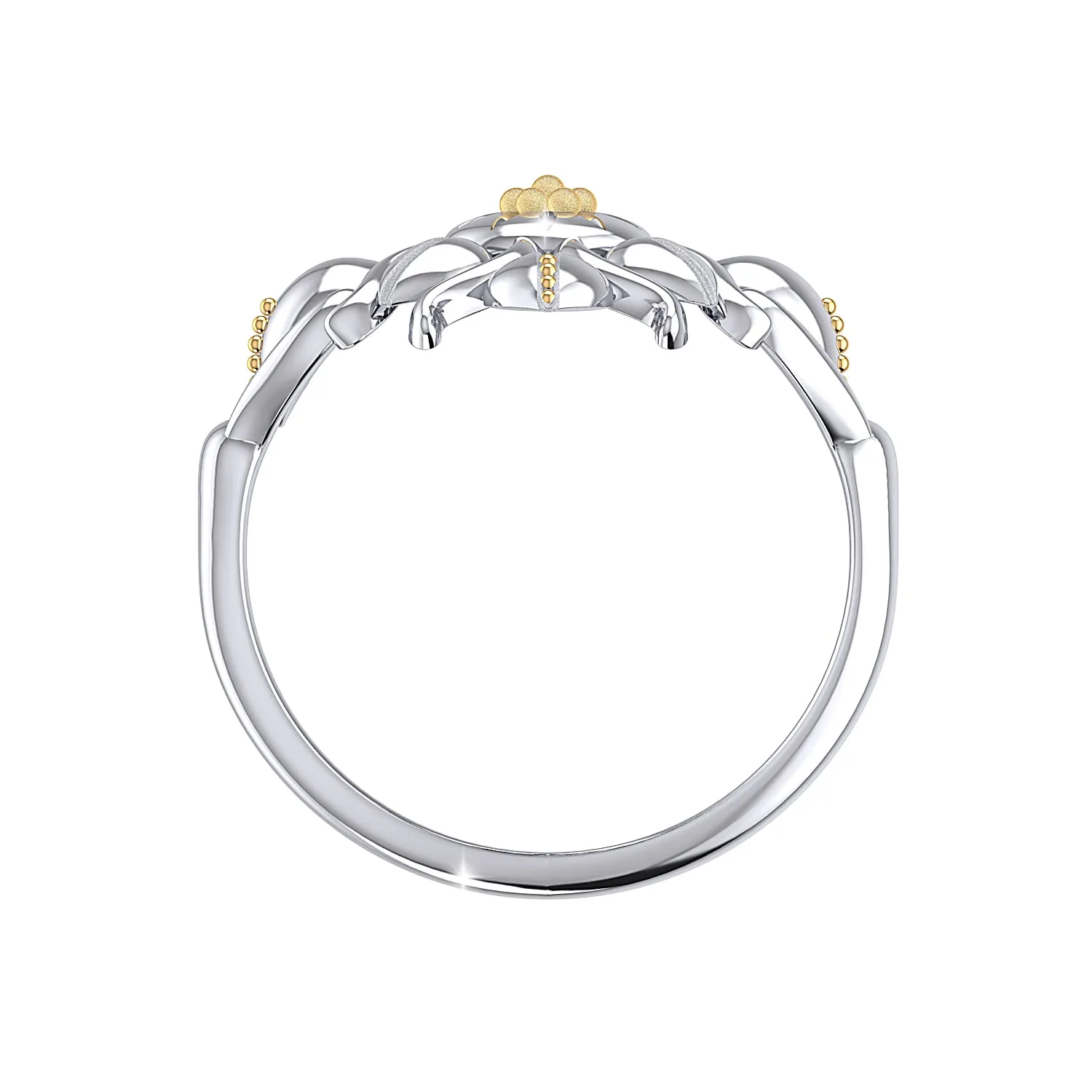 THE SOLAR FLARE RING