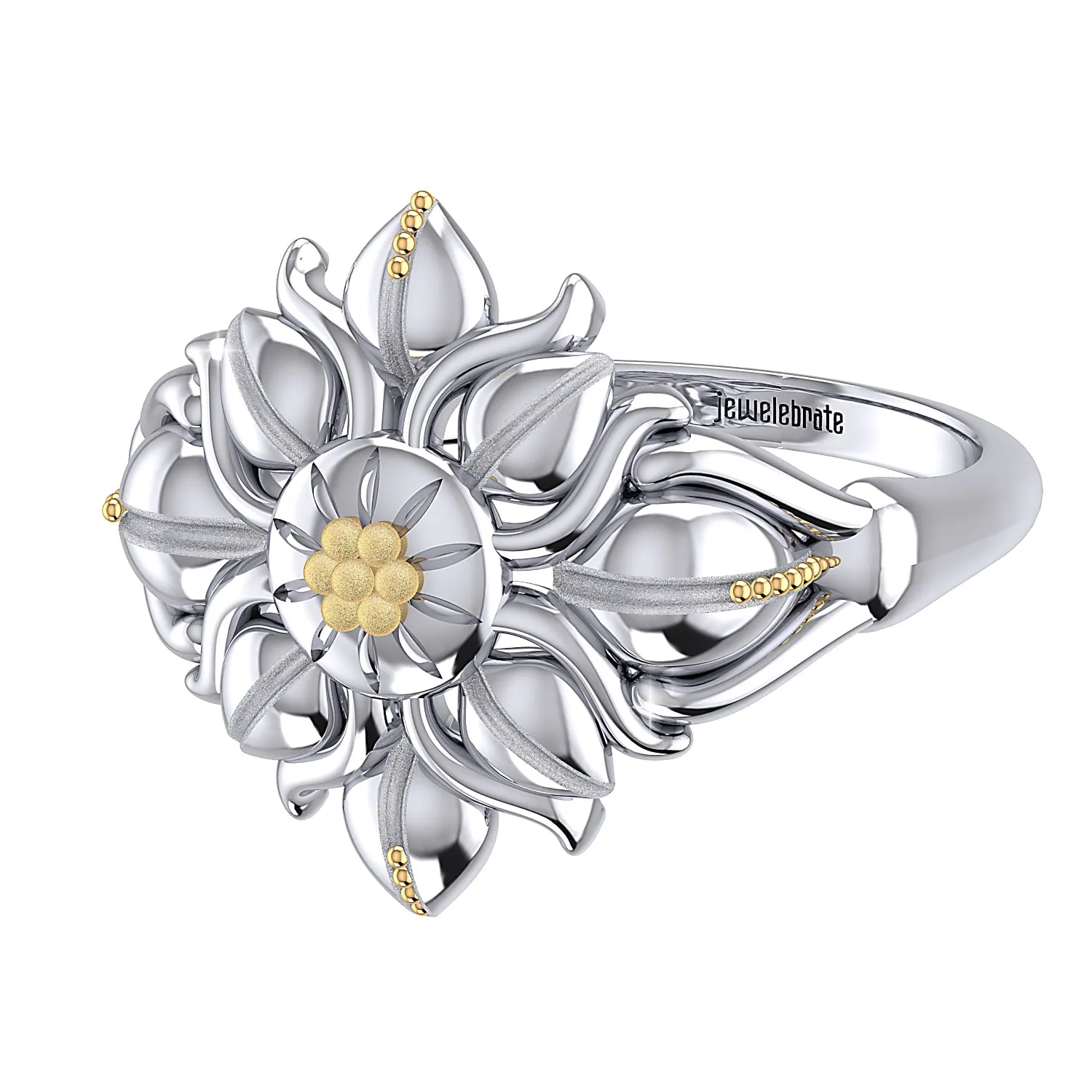 THE SOLAR FLARE RING