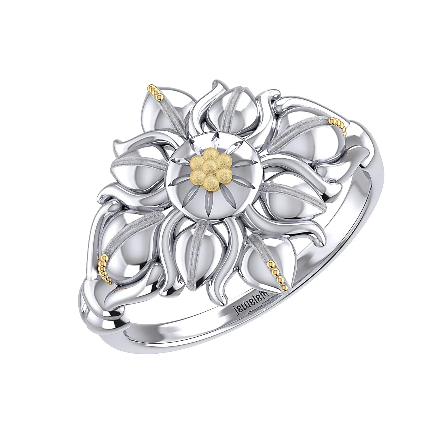 THE SOLAR FLARE RING