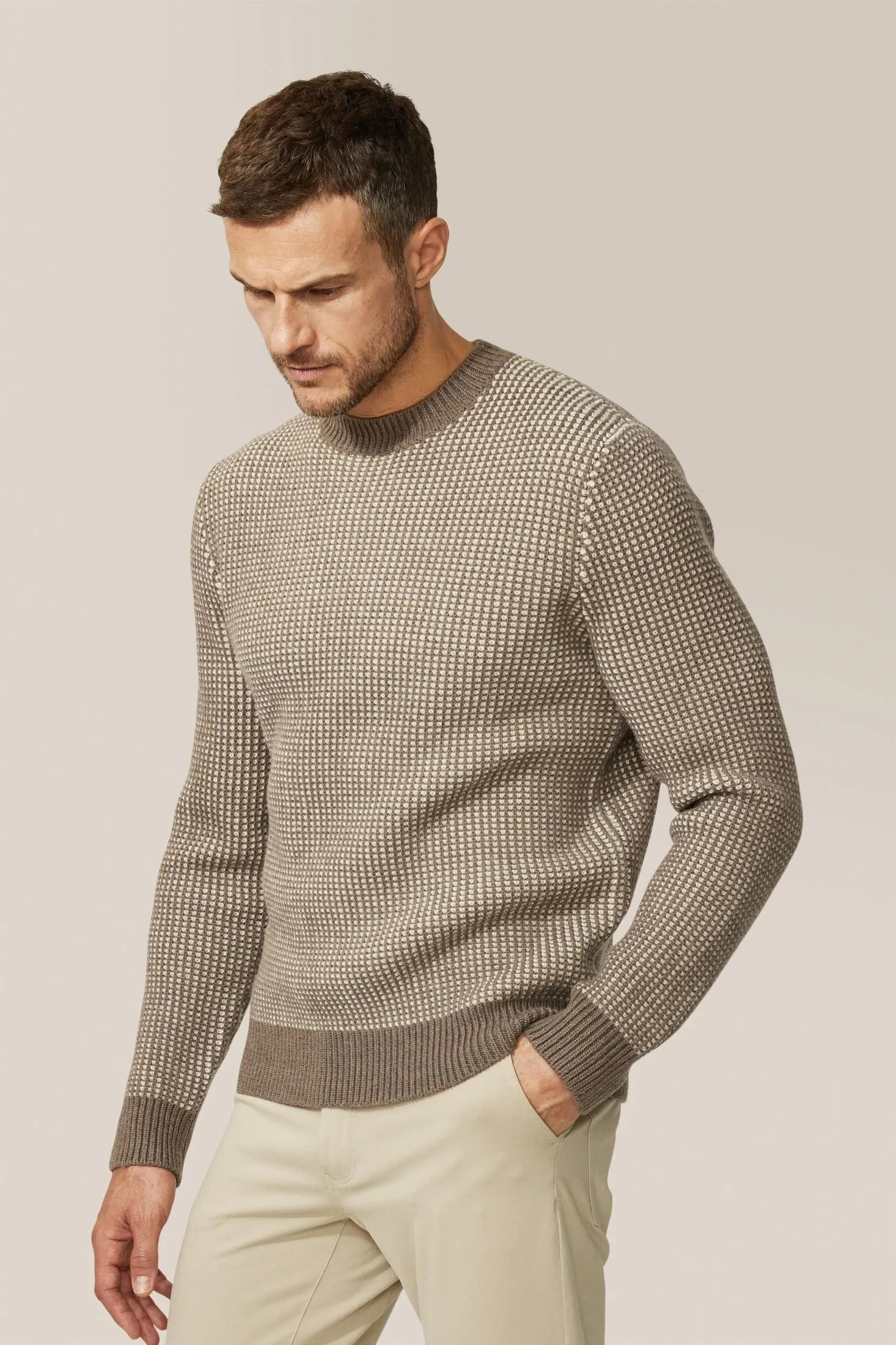Two-Tone Crew Sweater | Merino Wool